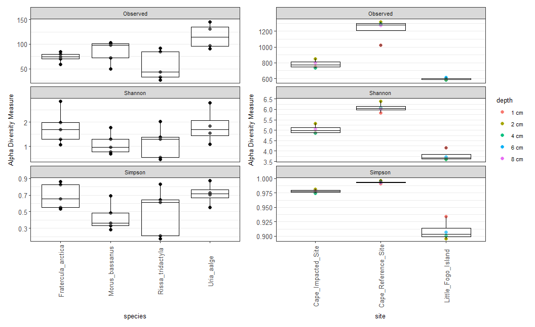 Raw version of the taxa boxplot showing alpha-diversity metrics for seabird fecal samples (left) and sediment samples (right)