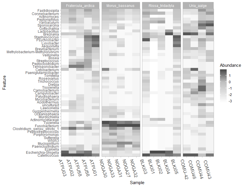 Raw version of the taxa heatmap showing the top 50 most abundant genera present in each seabird fecal sampling group